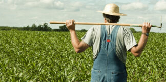 Καβαλάρχη κατέβα από το άρμα της αλαζονείας, ή από το καλάμι που καβάλησες;