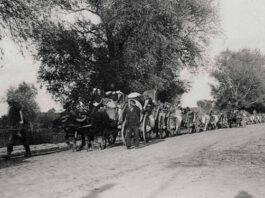 Η ημέρα μνήμης του Θρακικού ελληνισμού θα εορταστεί στην Καβάλα