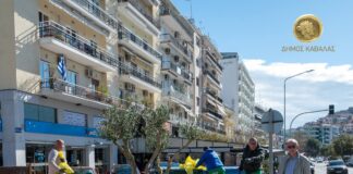 Δεν φυτεύονται δέντρα στους κυκλικούς και τριγωνικούς κόμβους