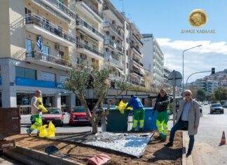 Δεν φυτεύονται δέντρα στους κυκλικούς και τριγωνικούς κόμβους