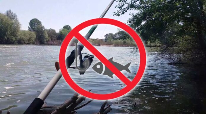 Απαγορεύεται η αλιεία στα εσωτερικά ύδατα της Περιφερειακής Ενότητας Καβάλας