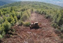 Εντός των προσεχών 4 μηνών: Θα γίνουν αντιπυρικές ζώνες σε κρίσιμα σημεία του Δήμου Θάσου