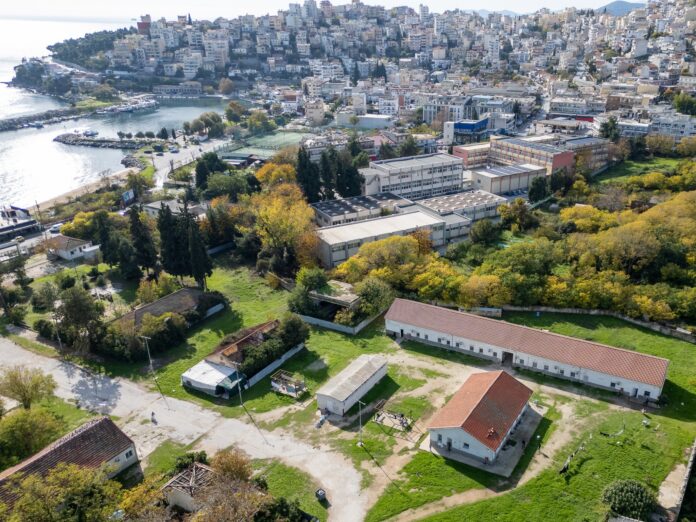 asimakopoulou camp3