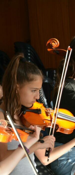 violi