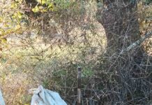 Τριτοκοσμική είναι η εικόνα των γεωτρήσεων στον κάμπο Πρίνου