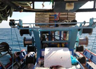 Χορήγηση νέων αδειών για σκάφος επαγγελματικής αλιείας και για την αλίευση τόνου και ξιφία