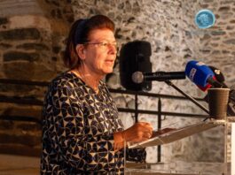 Ο σύλλογος «Το Μονόπετρο» ζήτησε από την Λίνα Μενδώνη να προστατέψει την πολιτιστική κληρονομιά. Η Λίνα παραχώρησε τα μουσεία και τους αρχαιολογικούς χώρους στην Ανώνυμη Εταιρεία Hellenic Heritage!