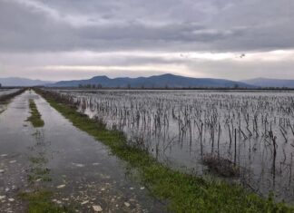 Δεν αναγνωρίζονται τα πλημμυρισμένα χωράφια στα Τενάγη Φιλίππων! Απαιτείται η έκδοση σχετικού Φ.Ε.Κ.
