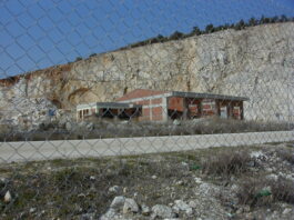 Είναι «μονόδρομος» το τελωνείο να πάει στο εμπορικό λιμάνι. Δεν μπορούμε να κάνουμε υπομονή, για την απόφαση, πρόεδρε του Επιμελητηρίου