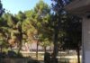 Ποιος θα τρέξει για να φύγει από την Καβάλα η δομή λαθρομεταναστών;