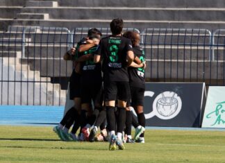 Θα έχει ο «Νέστος» προπονητή στον αγώνα με τον Πανσερραϊκό στις Σέρρες;