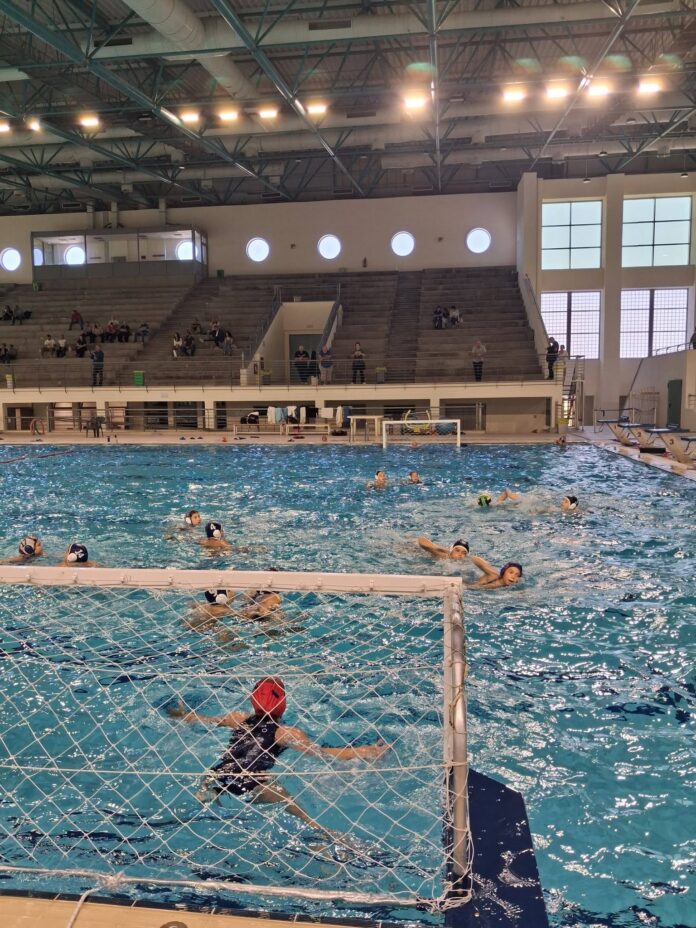 water polo junior