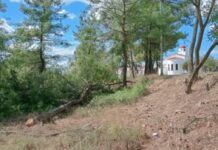 Φήμη για την δημιουργία θέσεων στάθμευσης σε αντιπυρική ζώνη στα Λιμενάρια