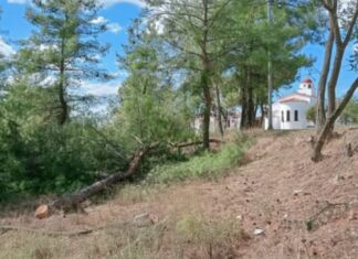 Φήμη για την δημιουργία θέσεων στάθμευσης σε αντιπυρική ζώνη στα Λιμενάρια
