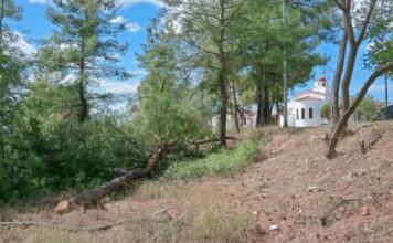 Φήμη για την δημιουργία θέσεων στάθμευσης σε αντιπυρική ζώνη στα Λιμενάρια